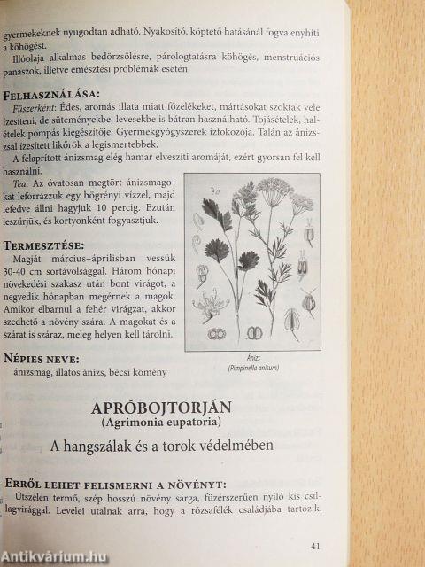 A gyógyító természet