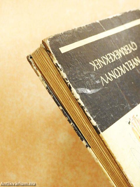 Képes német nyelvkönyv gyermekeknek