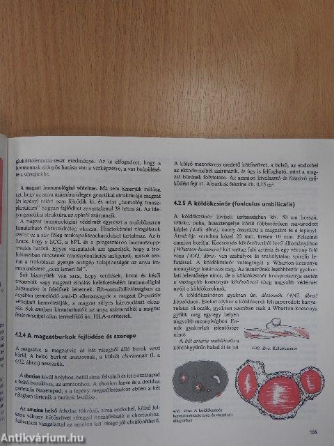 Szülészet-nőgyógyászat 1-3.