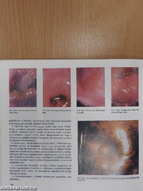 Szülészet-nőgyógyászat 1-3.