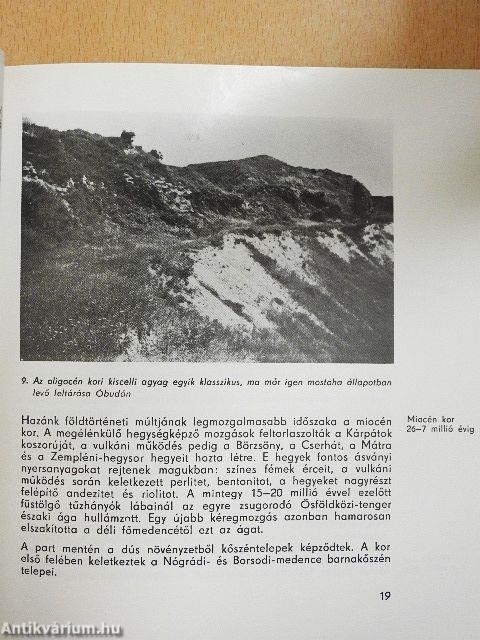 A földtörténet emlékei Magyarországon/Az őslények világa