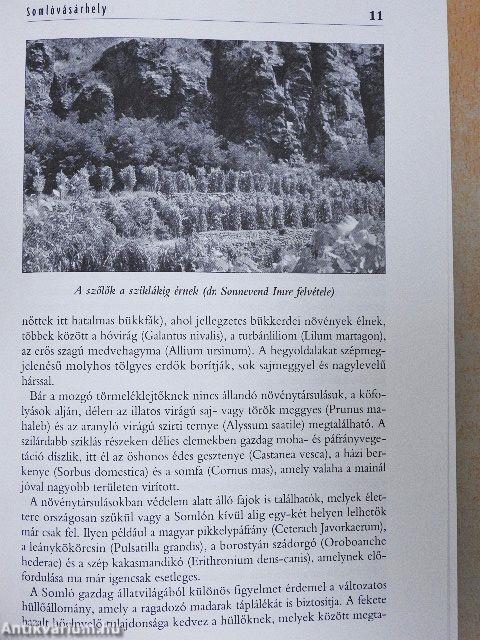 Somlóvásárhely