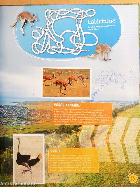 Csodálatos állatok