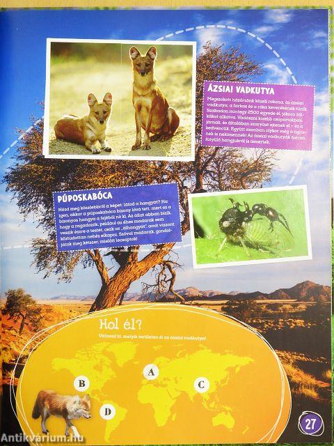 Csodálatos állatok