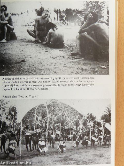 Antekume, avagy egy másik élet