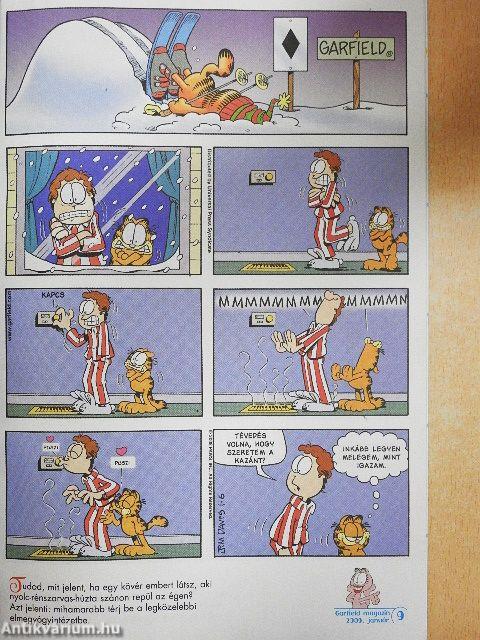 Garfield 2009/1. január