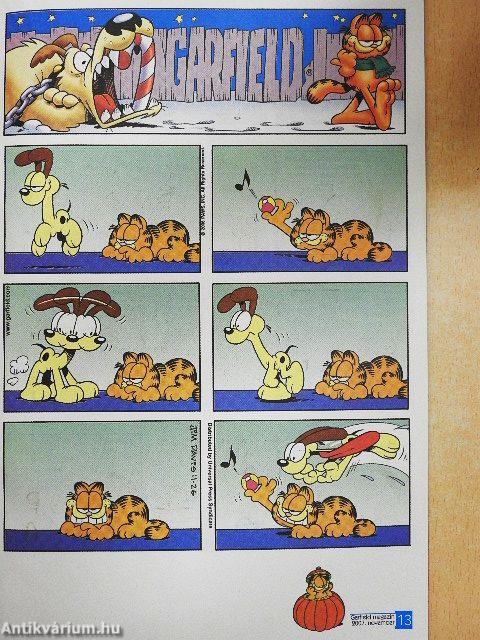 Garfield 2007/11. november