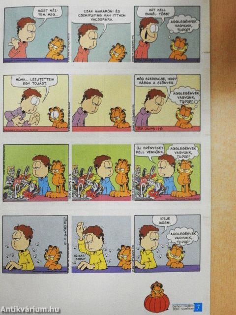 Garfield 2007/11. november