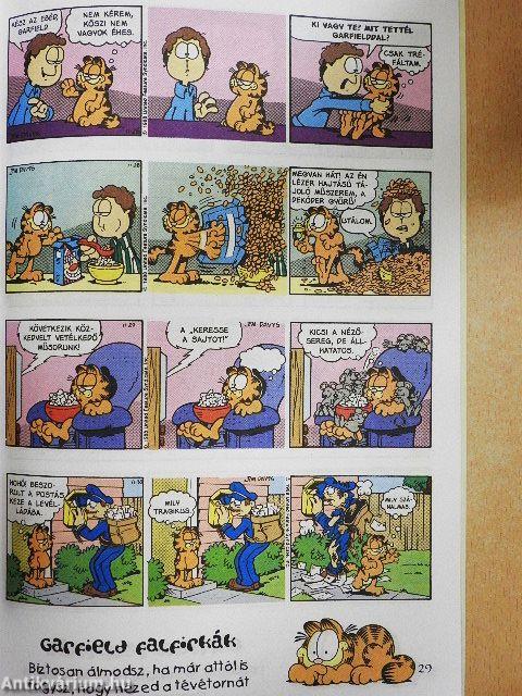 Garfield 2000/1. január