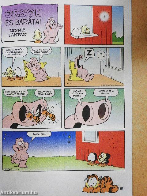 Garfield 2000/1. január