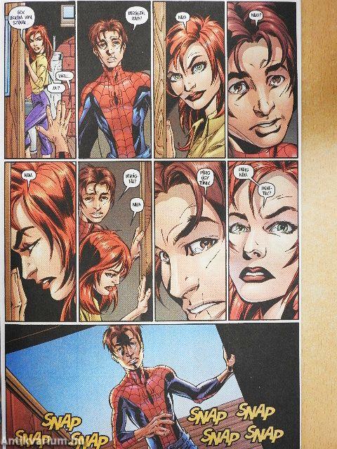 A Csodálatos Pókember 2004/4.