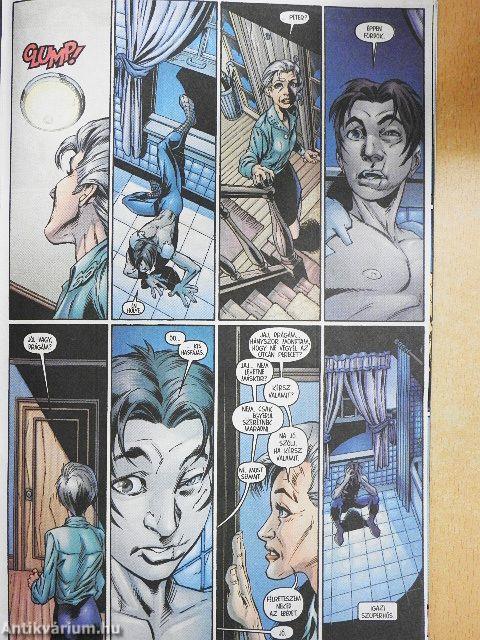 A Csodálatos Pókember 2004/4.