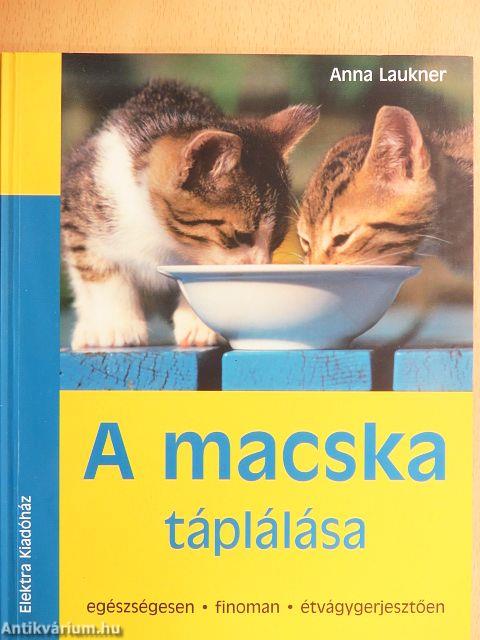 A macska táplálása