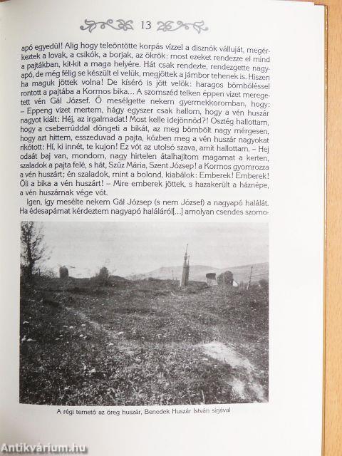 Benedek Elek emlékkönyve