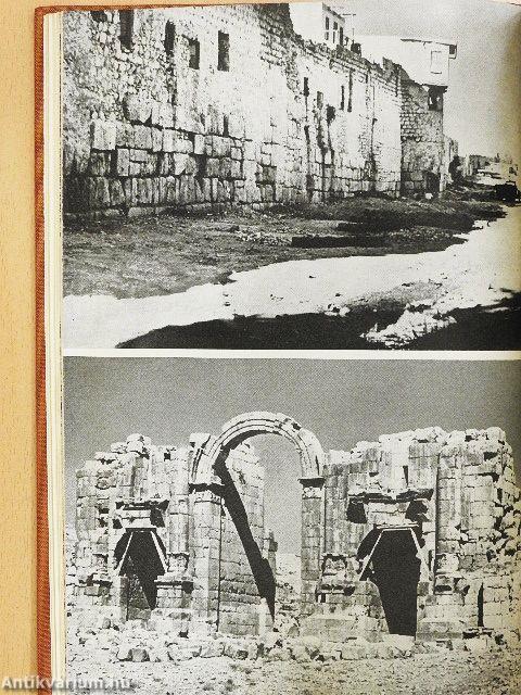 Bibel, Spaten und Geschichte