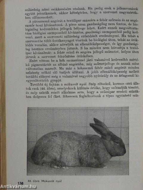Nyúltenyésztés