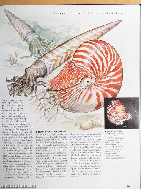 A Föld csodálatos története