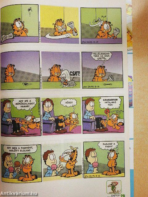 Garfield 2011. november