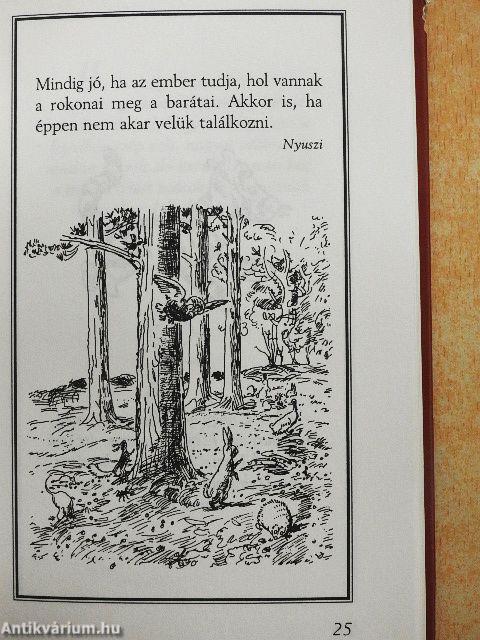 Micimackó Kis Útmutatója