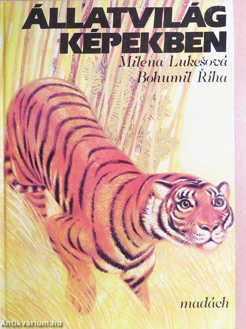 Állatvilág képekben