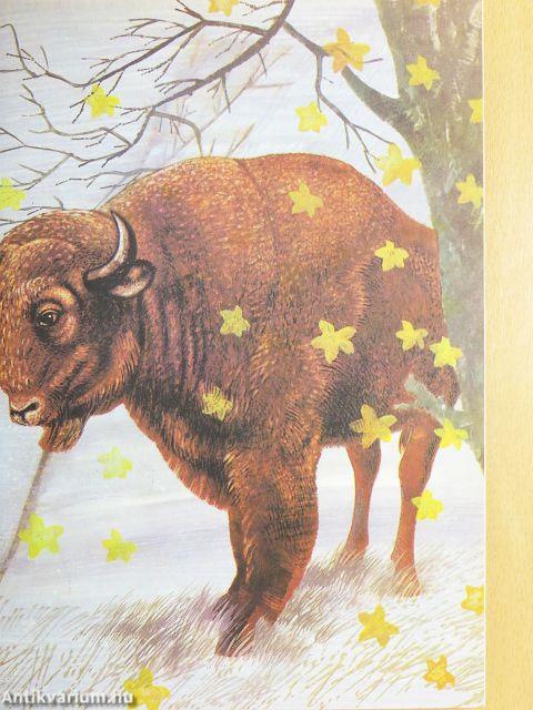 Állatvilág képekben