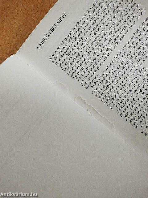 A dicsőség pillanatai