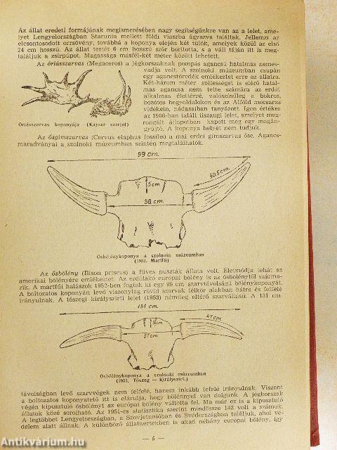 Jászkunság 1955. 1-6. szám