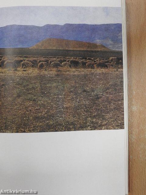 Bibel, Spaten und Geschichte