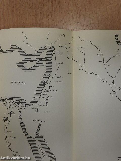 Bibel, Spaten und Geschichte