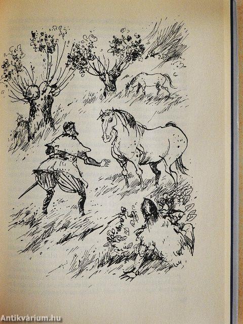 A koppányi aga testamentuma