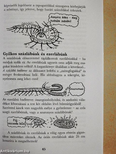 Bogaras rovarok és egyéb rondaságok