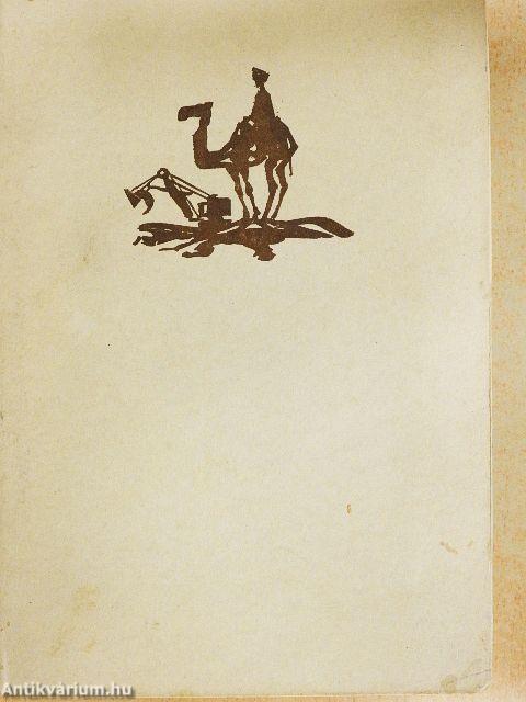 Sirályok a sivatagban