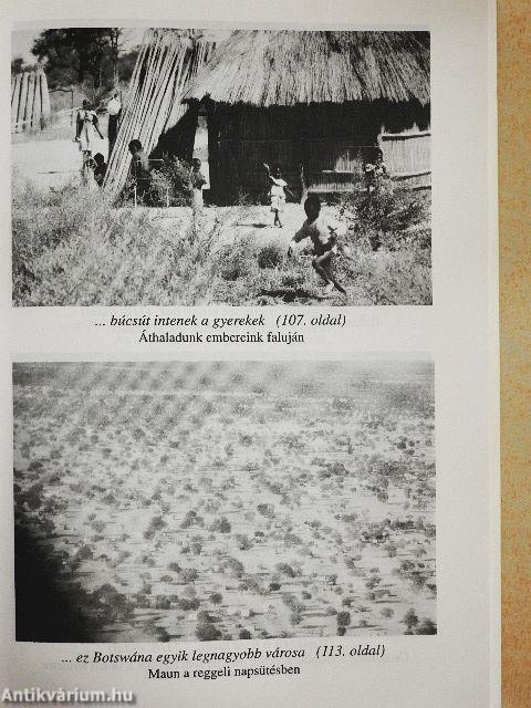 Elefántok között Botswánában