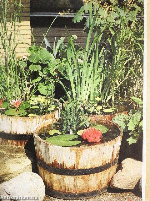 Dézsakertek/Apró vízikertek