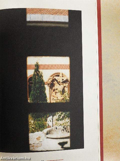 Borbarát 2004. Tél