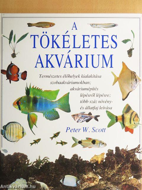 A tökéletes akvárium