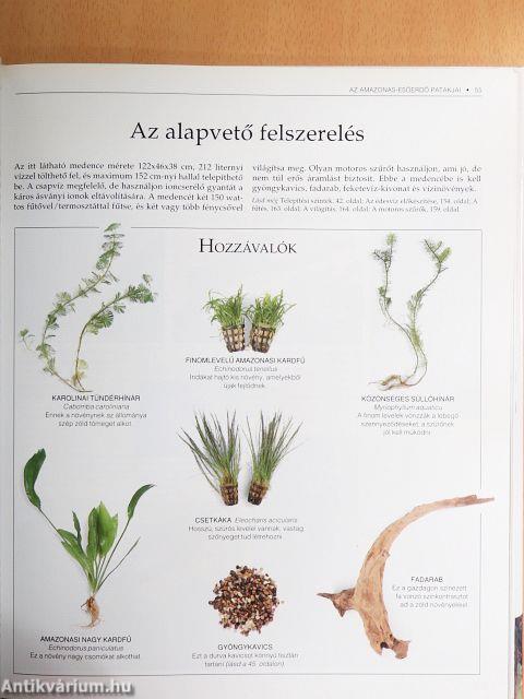 A tökéletes akvárium
