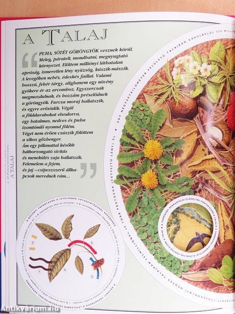 Hihetetlen utazás az Univerzum végtelenjébe/Hihetetlen utazás az atom belsejébe