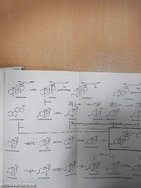 Szerves kémia I-VI.