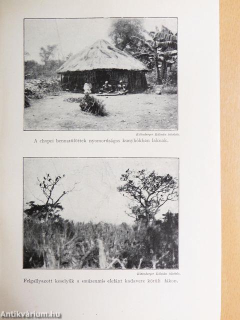 A megváltozott Afrika