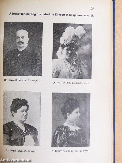 Szanatorium Naptár 1914