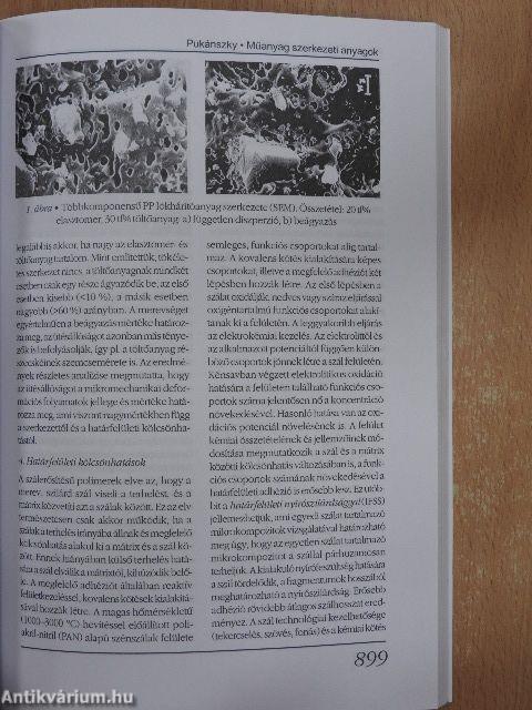 Magyar Tudomány 2002. július