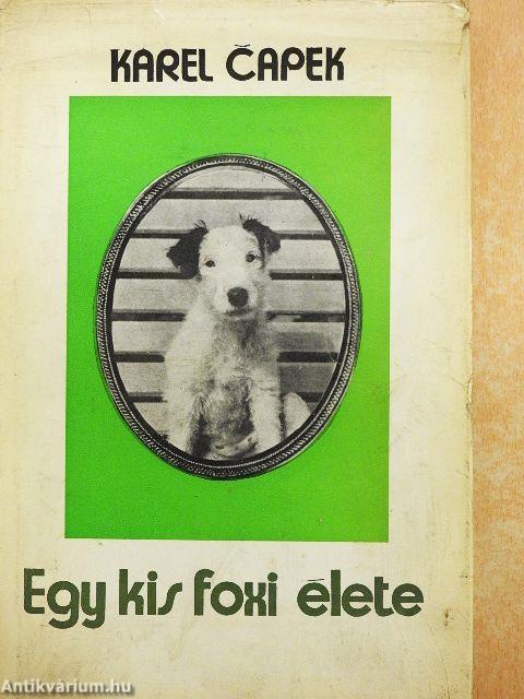 Egy kis foxi élete