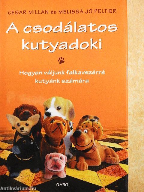 A csodálatos kutyadoki