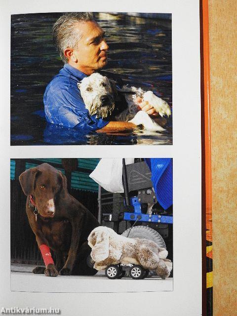 A csodálatos kutyadoki