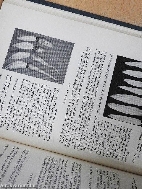 Zöldségtermesztés I-II.