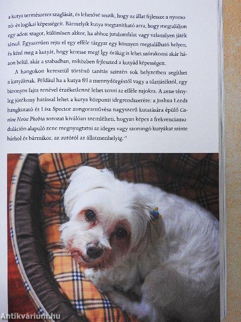 A kutyák titkos nyelve