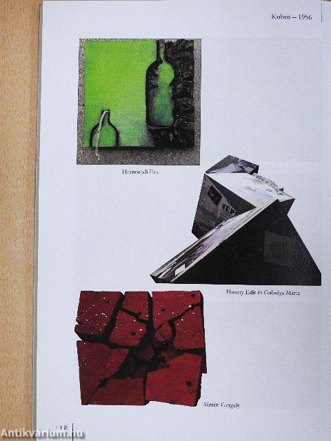 Szabolcs-Szatmár-Beregi Szemle 2016/4.