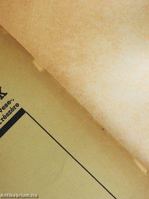 Diétás előírások