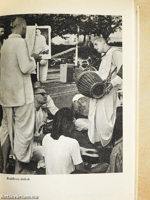 Hozzál nekem kengurut